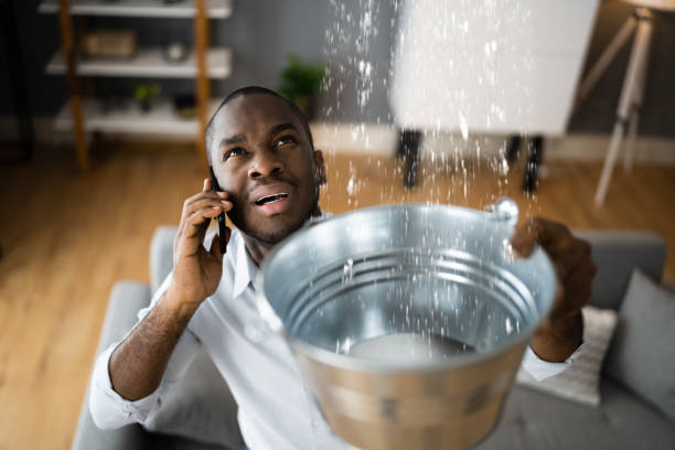 Best Local water damage restoration  in Eureka, MT
