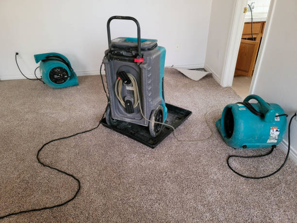24/7 water damage repair in MT