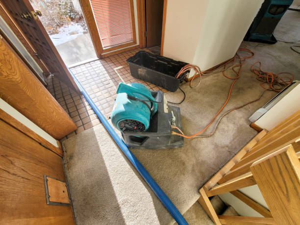 Best Water damage restoration specialists  in Eureka, MT