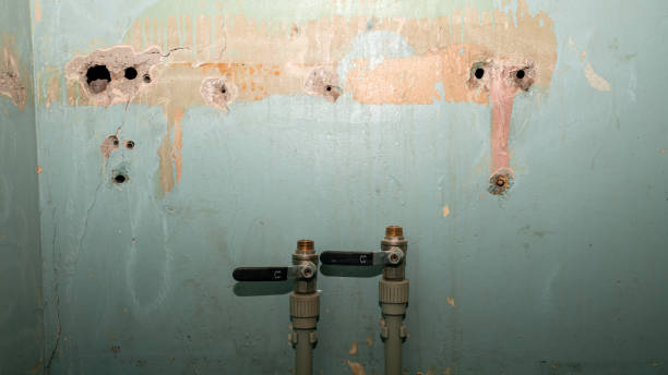 Best Water damage restoration near me  in Eureka, MT