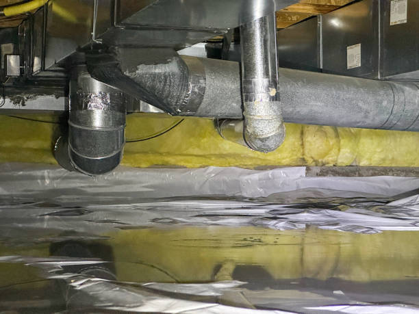 Best Flood damage cleanup  in Eureka, MT
