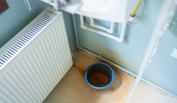 Best Carpet water damage restoration  in Eureka, MT