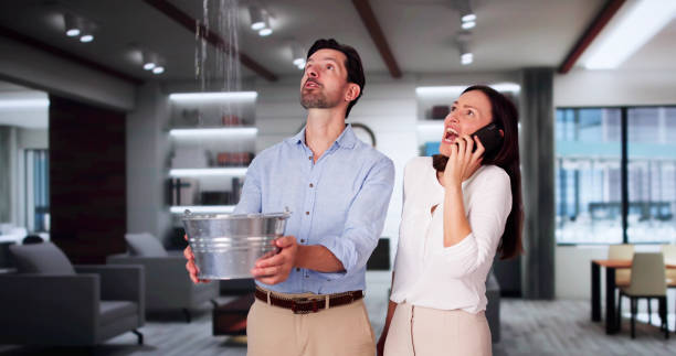 Reliable MT Water damage restoration Solutions