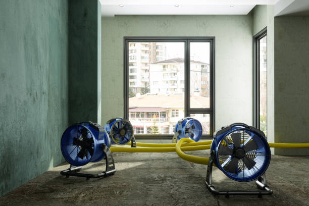 Best Flood restoration services  in Eureka, MT
