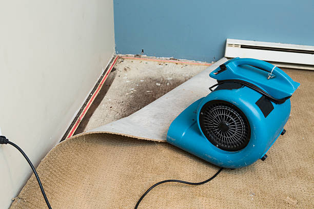Best Mold removal after water damage  in Eureka, MT